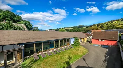Logis Hostellerie Motel Au Bois le Sire Hotels in Orbey