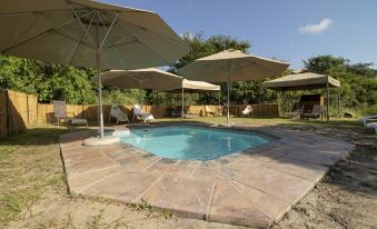 a large swimming pool with umbrellas and lounge chairs in a backyard setting , surrounded by trees at Tembe Elephant Park