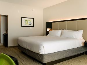 Holiday Inn Express & Suites Tampa East - Ybor City