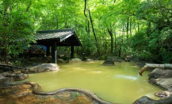 Ryokan Shinseikan