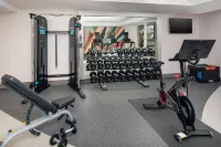 Hilton Garden Inn Arcadia/Pasadena Area - Gym