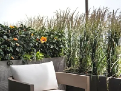 Wave Resort Hotels in Monmouth County