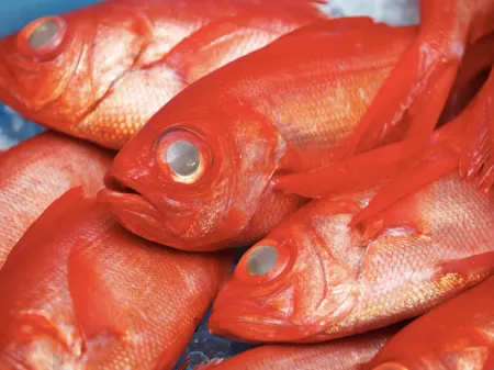 Mihama Restelle Отели рядом с достопримечательностью «Darumayama»