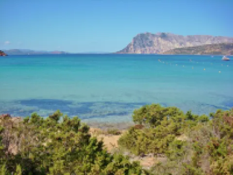 Stunning Residence Bouganvillage Bedroom Sleeps 4 (+ Child) No1314 Hotels in Budoni