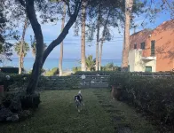 Stay at Beachfront Villa Lilia in Pefkohori, Halkidiki for a Dreamy Vacation Hotels in Pallini