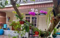 Inn Family Homestay