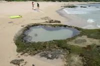 Green Hill Hotels in Tatsugo