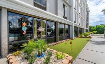 Comfort Inn & Suites St Pete - Clearwater International Airport