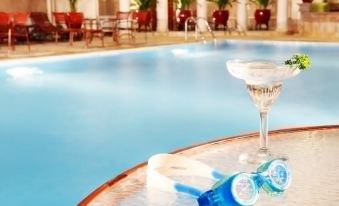 Ibis Muscat