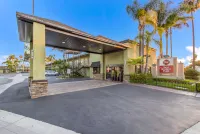 Best Western Plus Pavilions Hotels in Anaheim