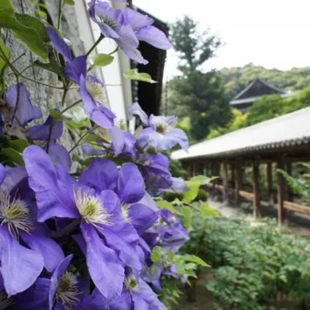 Kanko Ryokan Yamatoya