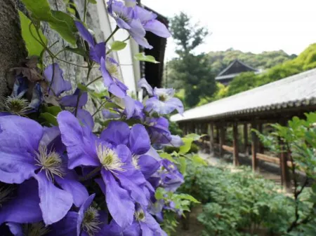 Kanko Ryokan Yamatoya Отели рядом с достопримечательностью «Abe Monjuin»
