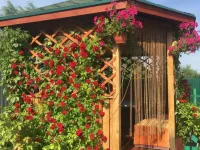 Vladimirskij Hutorok Guest House โรงแรมในวลาดิเมียร์