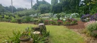 Jeju ChunJaNe Pension