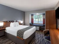 Microtel Inn & Suites by Wyndham Pooler/Savannah Hotels in Pooler