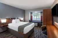 Microtel Inn & Suites by Wyndham Pooler/Savannah - Pools