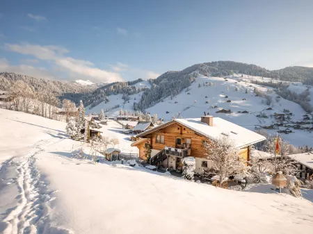 Serviced Apartment Chalet Bärgblüml I Ha Отели в г. Хабкерн