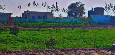 oshiana farm