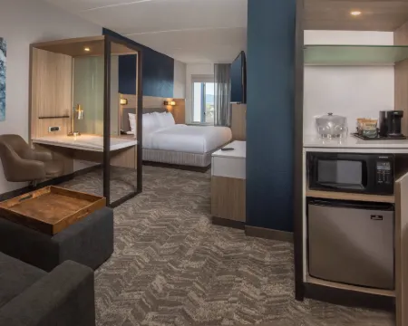 菲德里克萬豪SpringHill Suites酒店 菲德里克酒店