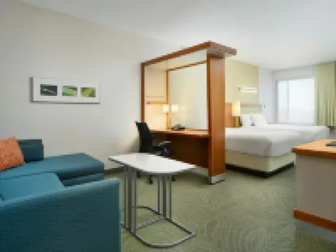 スプリングヒル スイーツ バイ マリオット スクラントン モンタージュ マウンテン ムージックのホテル