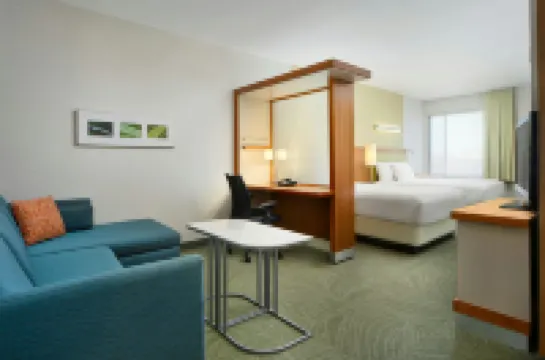 스프링힐 스위트 바이 메리어트 스크랜턴 몽타주 마운틴