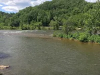 Fisherman's Retreat Cabin #2 ON THE RIVER!!!!! Hotel a Swain County