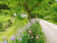 Between art and nature farm in Umbria Green Heart of Italy Hotels in Spello