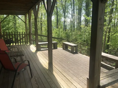 High Windy is a Ridge-Top Nature Retreat Minutes from Asheville (pet friendly) Отели рядом с достопримечательностью «Charles D Owen Park»