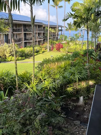 Remodeled Fantastic Ocean Front Sunset Views New AC  2 Lanais Free Parking Wifi