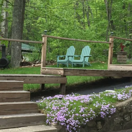 Quiet, Pristine Setting On Long Lake