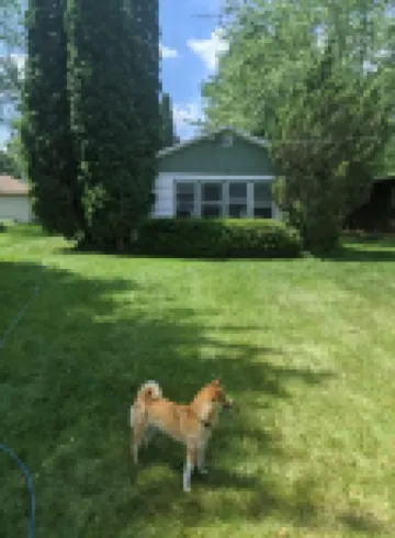 Classic Green Lake cottage, lakefront, screened boathouse deck, dock, swimming