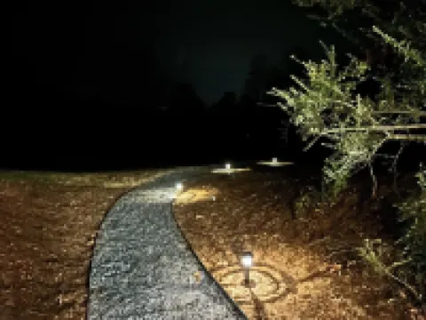 The Meadows of White Mountain