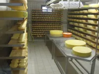 Partner lessor of the Oberstaufen Plus Card !!°!