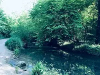 Stunning Renovation edge of Frome + country views