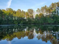 Newly renovated Farm cottage with Mountain views Hotels in Warren County