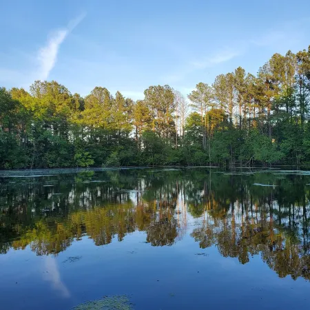 Newly renovated Farm cottage with Mountain views