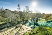 Old farmhouse surrounded by olive groves and near the village, max 9 adults, with pool