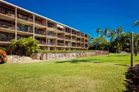 Endless Waves, Incredible Direct Oceanfront Views!