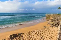 Amazing steps to the OCEAN experience!