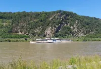 Nice apartment with balcony directly on the Rhine; centrally located - Apartments