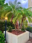 Pool - Pet Friendly - Self Check in - Patio - Full Kitchen - Close to Beaches