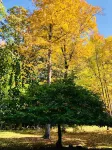 Bright, historic Woodstock home close to town