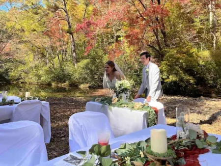 Falls View Cabin at Dennis Mill on designated trout stream.