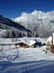 Superb Ski Chalet In Alpe D'Huez / Oz-En-Oisans Resort