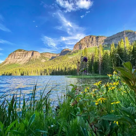 Colorado Cabin @ Epicenter of Adventure VIEWS&WIFI