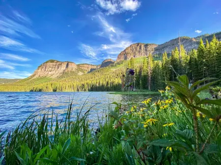 Colorado Cabin @ Epicenter of Adventure VIEWS&WIFI