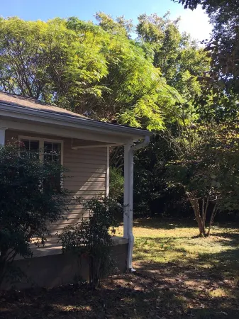 FAMILY GUEST HOUSE-SPLIT BEDROOMS Отели в г. Маунтин-Вью