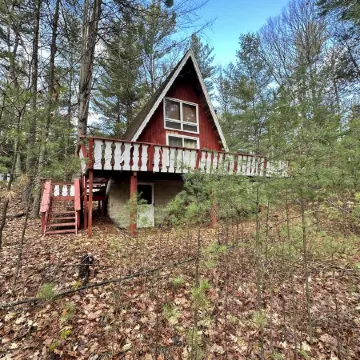 The Toasty Chalet - minutes from Whiteface Mt! Dogs welcome!