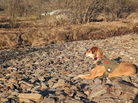 Private tent camping SITE#1  along the Salmon River on 165-acre Farm
