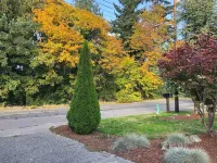 Cozy 2 Bedroom Guest Suite - Seattle Launchpad